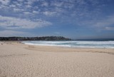 Bondi Beach