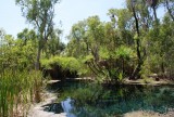 Bitter Springs
