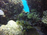 Great Barrier Reef