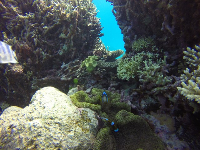 Great Barrier Reef