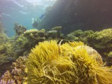 Great Barrier Reef