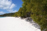 Whitehaven Beach