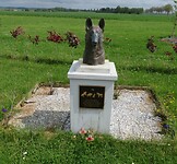 IMG_0019