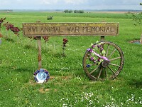 IMG_0021