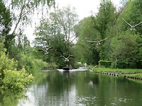 IMG_0034