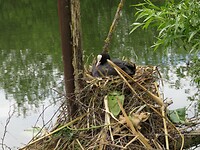 IMG_0030
