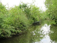 IMG_0027