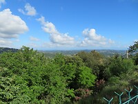 IMG_0042
