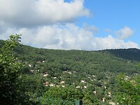 IMG_0043