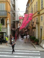 IMG_0059