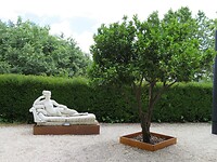 IMG_0063