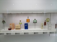 IMG_0066