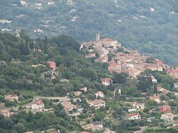 IMG_0205