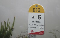 IMG_0209