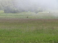 IMG_0212