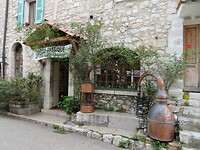 IMG_0222