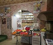 IMG_0230