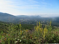 IMG_0246
