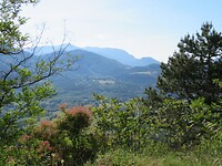 IMG_0256