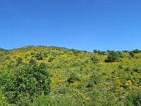 IMG_0259