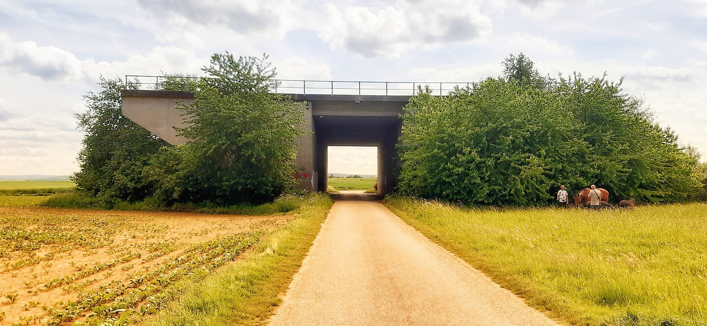 viaduct