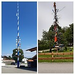 Meiboom