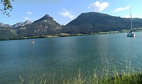 Wolfgang See