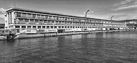 haven Triëst