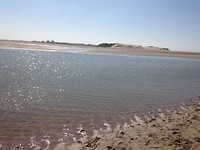 Het Zwin, op de grens met België. Een soort Slufter, noopt tot omlopen.