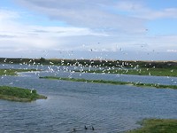 Natuur