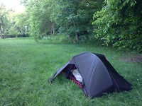 ‘Wild’ in Dieppe