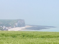 Graan en gras