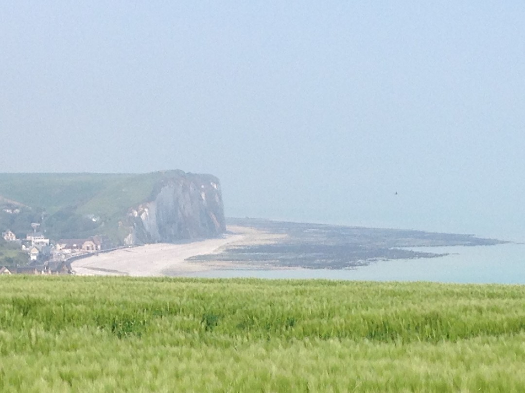 Graan en gras