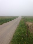 In de verte neigt alles naar grijs