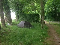 Wild in Cauville