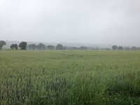 Op weg naar Sens de Bretagne, groen, grijzer, grijst