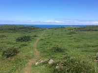 De camino