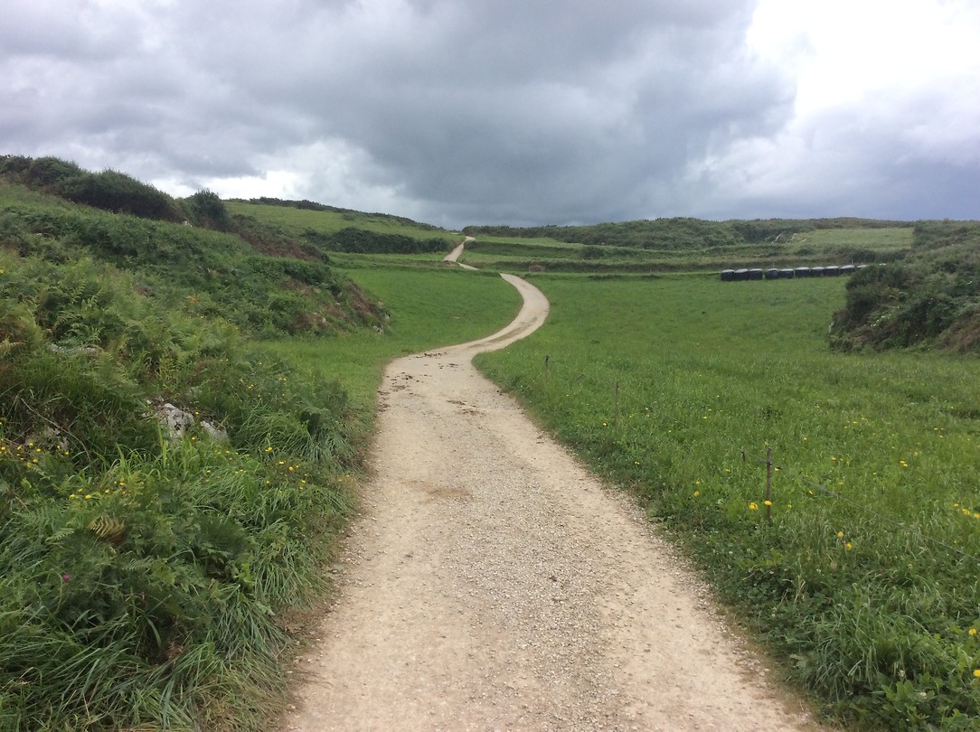 De camino