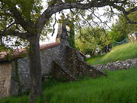P1020215