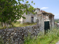 P1020241