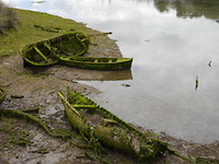P1020258