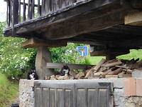 P1020263