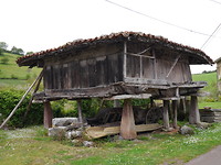 P1020270