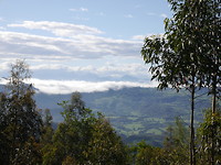 P1020273