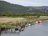 P1020310