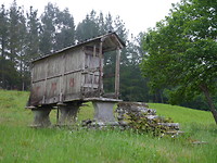 P1020417