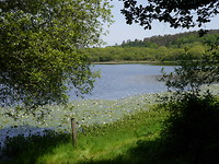 P1020426