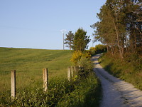 P1020434