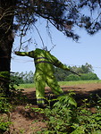 P1020443