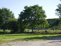 P1020452